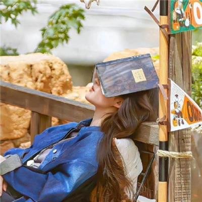 孖宝妙探